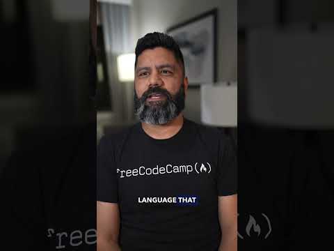 What is Python used for?